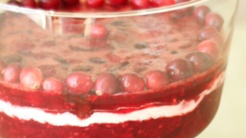 https://www.mirlandraskitchen.com/wp-content/uploads/2014/11/Cranberry-Jello-Salad-480x270.jpg