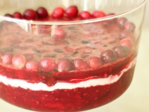 Cranberry Jello Salad - Dinner at the Zoo